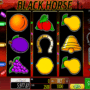 Casino Spiele Black Horse Online Kostenlos Spielen